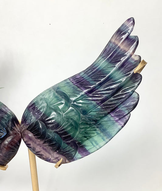 Fluorite Wings with Stand